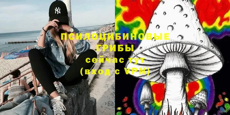 Псилоцибиновые грибы MAGIC MUSHROOMS  Канск 